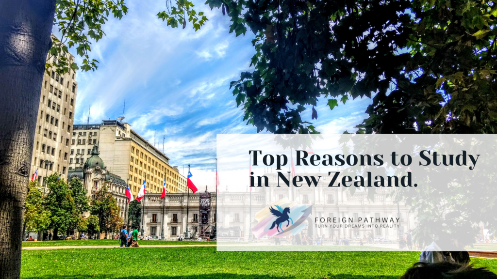 Why study in new zealand
