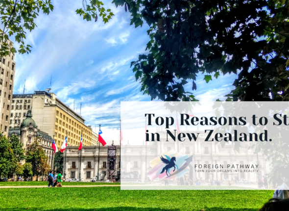 Why study in new zealand
